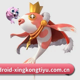 星空综合体育 APP 界面